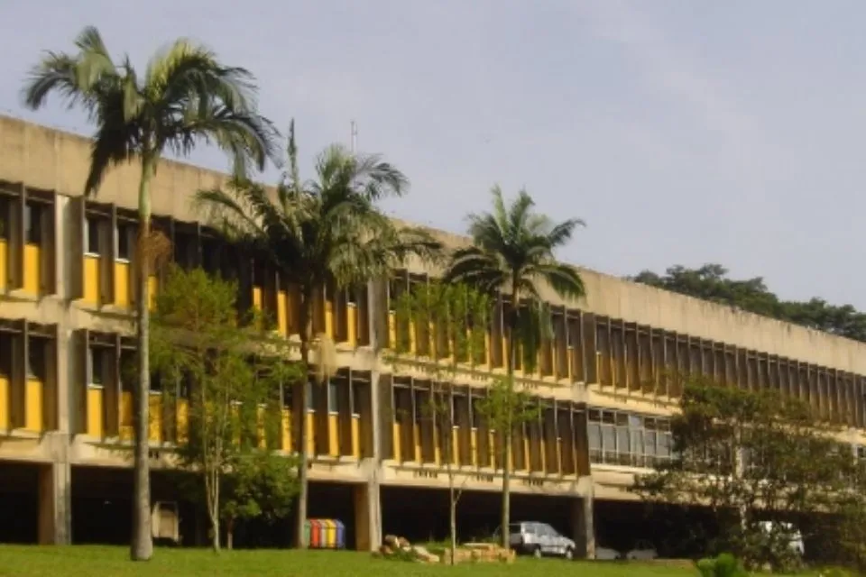 IEA