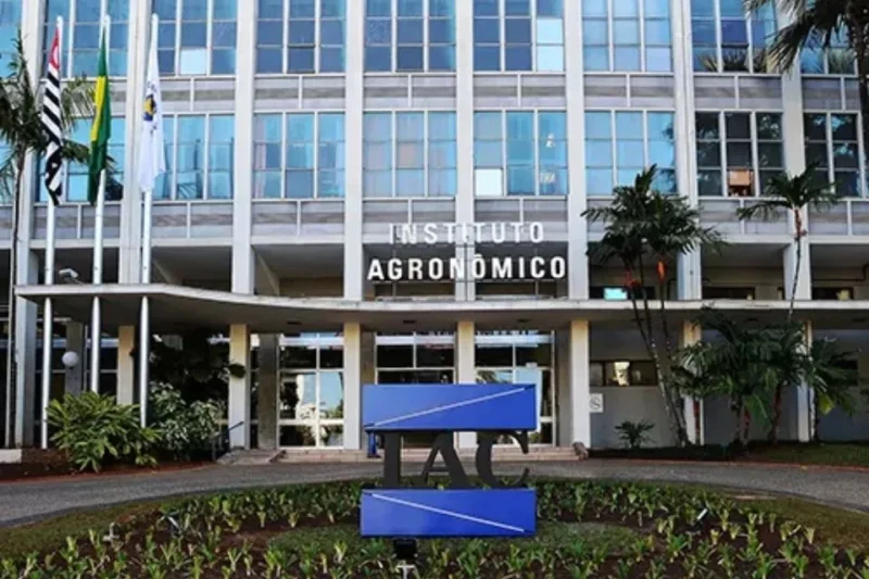 Instituto-agronomico-IAC